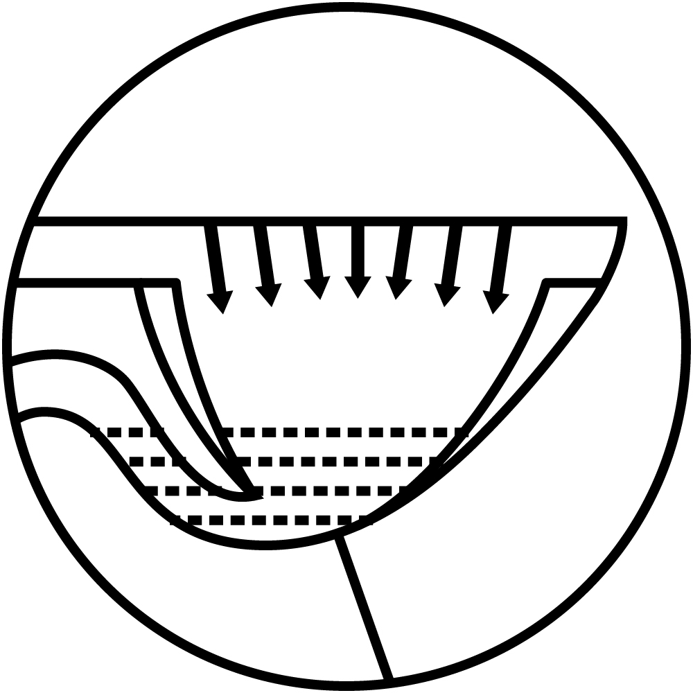 Syphonic Flushing