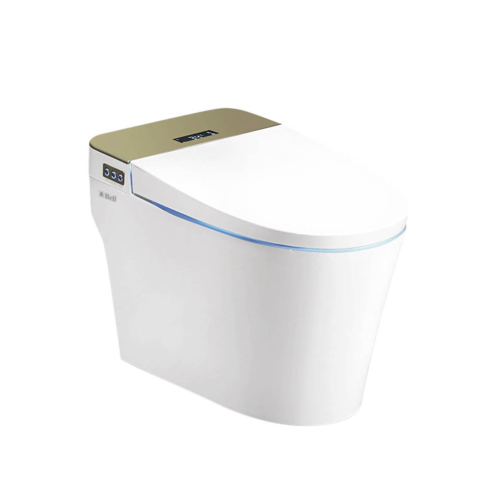 Intelligent Toilets