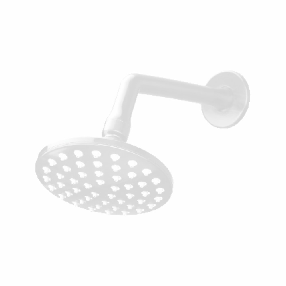 PTMT Shower with Arm